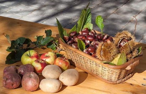 Voce del Casentino - Foto 30