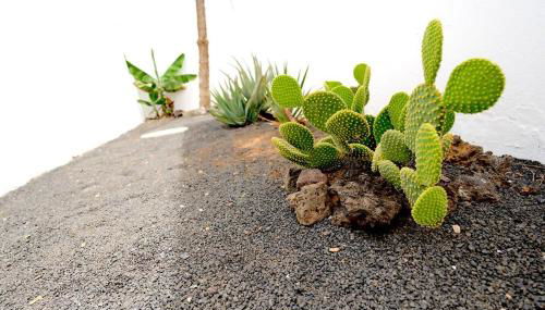 Kalendra Rofe · Amplia y tranquila cerca del mar - Foto 3, Garden