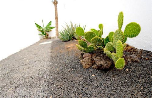 Kalendra Rofe · Amplia y tranquila cerca del mar - Foto 3