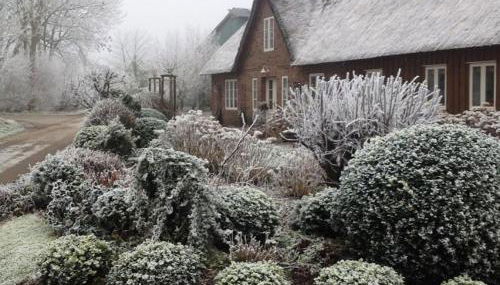 Marie Carla - Foto 4