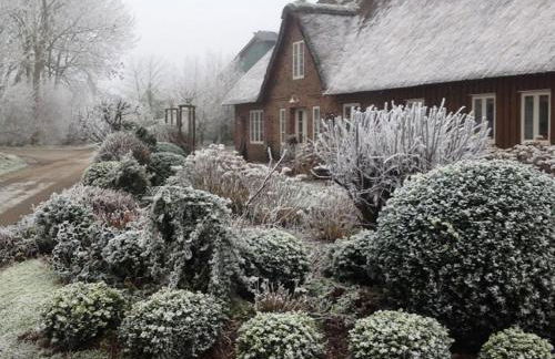 Marie Carla - Foto 4