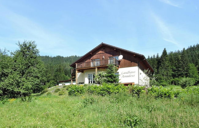 Landhaus Amadeus, Radstadt - Foto 69