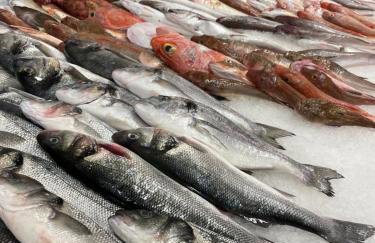 Sicilia Bedda casavacanze - Foto 42