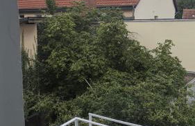 Stilvolle Altbau Wohnung im Zentrum von Detmold, Paulana - Foto 31