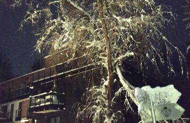 Żurawie gniazdo, elegancki zakątek w Puszczy Białowieskiej - Foto 29
