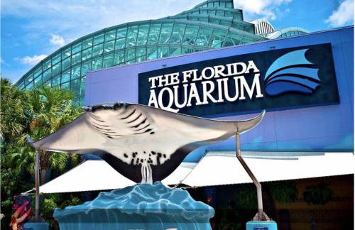 Cozy Hyde Park Home - Foto 58