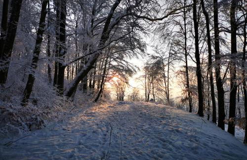 Tourenblick - Ferienwohnung an den drei Kaiserbergen - Foto 30
