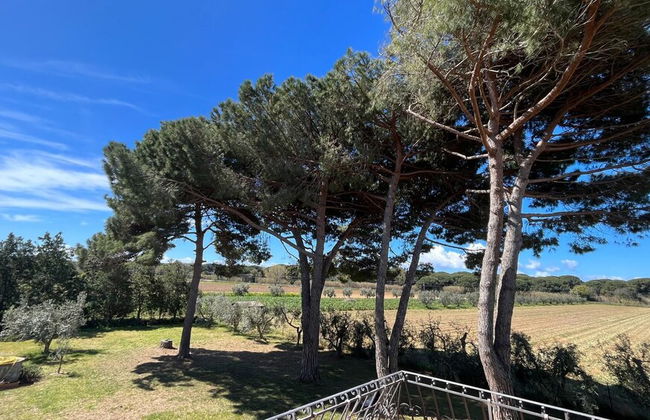 Tuscan Villa 5mins From Beach, Sleeps 8, ev Point - Foto 33