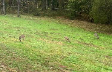 New, modern cabin with private lake and hiking - Foto 13