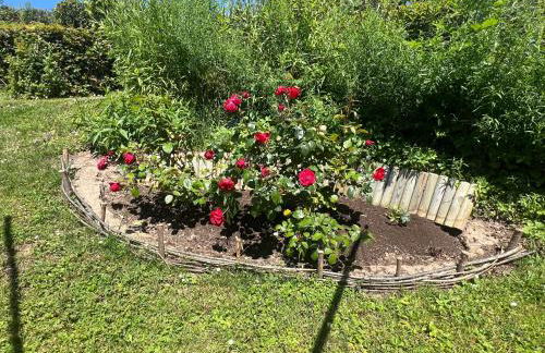 NEW Spacious House with large garden - Foto 50