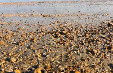 Stunning Beach House Indoor Pool - Foto 66