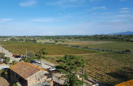 Mas Miraflors - Foto 45