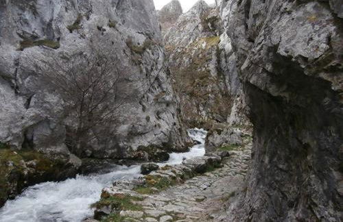 El Molin de Eloy - Foto 16