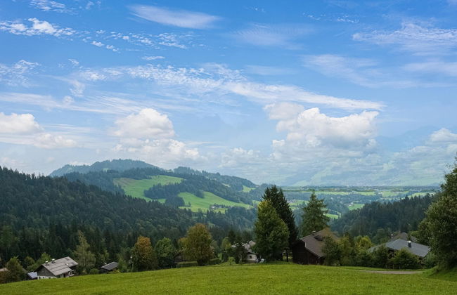 Chalet in Schwarzenberg Near Ski Lift - Photo 35