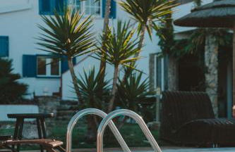 João Jungle - Foto 24