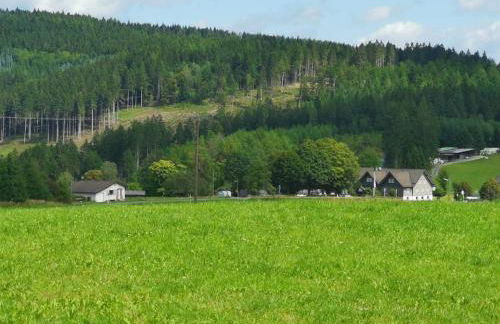 Auszeit, Erholung mitten in der Natur - Ferienhaus im Sauerland in Faulebutter - Foto 14