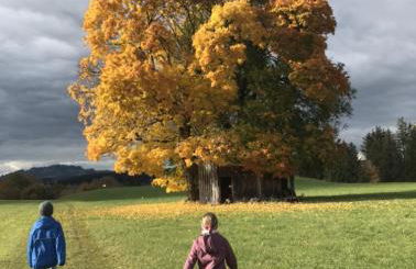 Ferienwohnung Wia Dahoam - Foto 12