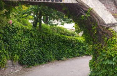 Les Terrasses de Puys - Foto 9