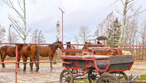 Agroturystyka Kociołek - Foto 2