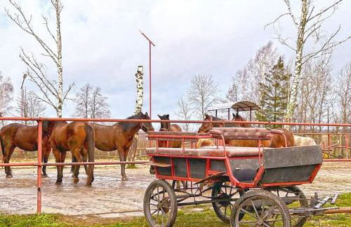 Agroturystyka Kociołek - Foto 2