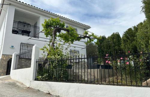 El Olivar de la Solana - Foto 1