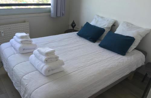 Rennes vue des Horizons - Foto 32