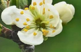 La Cabanya de Can Ganasta - Photo 55