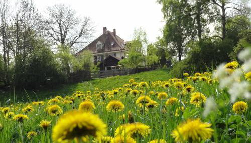 Landhaus Löwenzahn - Foto 5