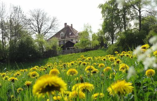 Landhaus Löwenzahn - Foto 5