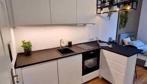 Modernes Apartment im Zentrum von Karlsruhe - Photo 4, stove, pet friendly