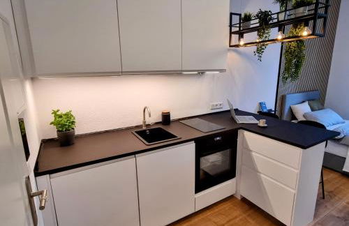 Modernes Apartment im Zentrum von Karlsruhe - Foto 4