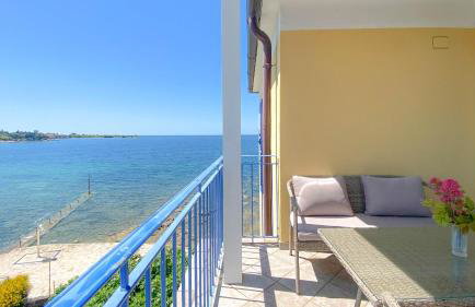 Belvedere gore - Photo 22