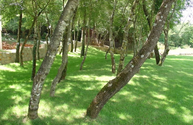 VILLA ESTERA Grubine - Makarska - Foto 34