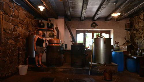 S'Harzala Vert bis - Foto 3