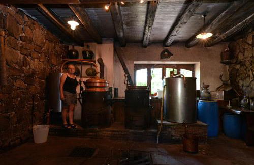 S'Harzala Vert bis - Foto 3