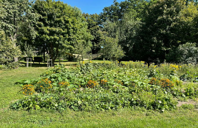 Gärtnerhaus - Foto 21