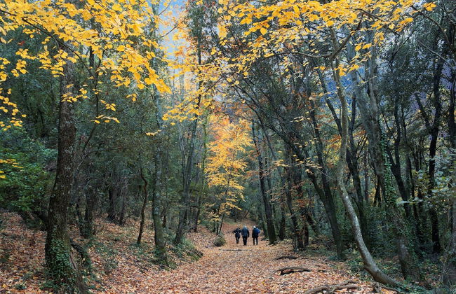 Mas Can Calet Aparthotel - Foto 44