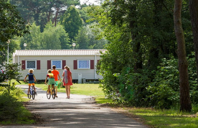 Chalet With Dishwasher in the Green Kempen - Foto 24