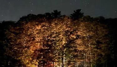 Nautilus Floating Island Cabin - Foto 2