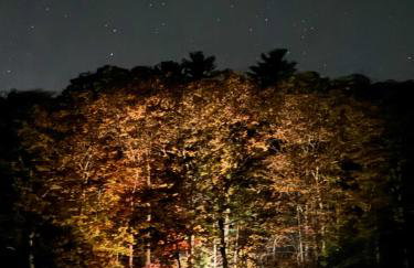 Nautilus Floating Island Cabin - Foto 2