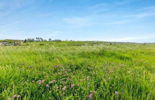 1 Bed in Cerrigydrudion oc-bow194 - Photo 18