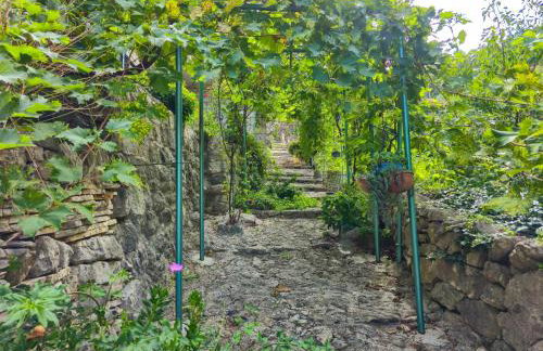 Villa Tiho - Foto 54