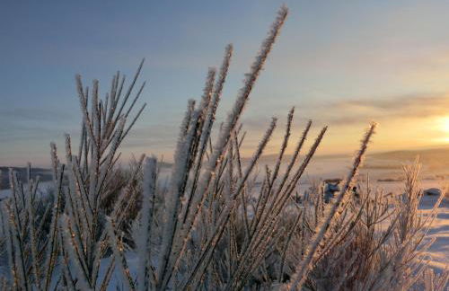 Ferienhaus Giebelei - Foto 28