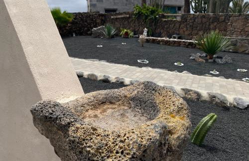 Mardelava - Photo 20