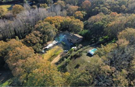 FINCA LA LISERILLA - Foto 35