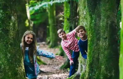 Casita De Cuervo at Shorefield Park - WIFI - Pet Friendly - Passes Included - Photo 49