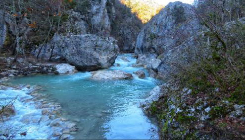 La Salamandre de l Olivier - le Mimosa - Foto 5