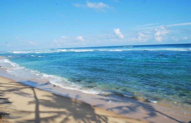 Beach House - Foto 23