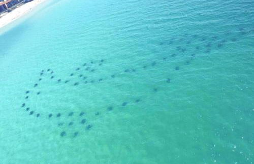 Emerald Towers 1302 Salty Smile - Foto 31