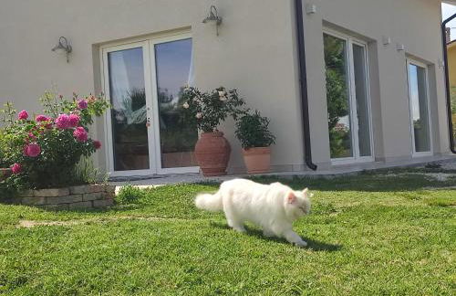 La Casa di Stefania LOFT - Foto 45